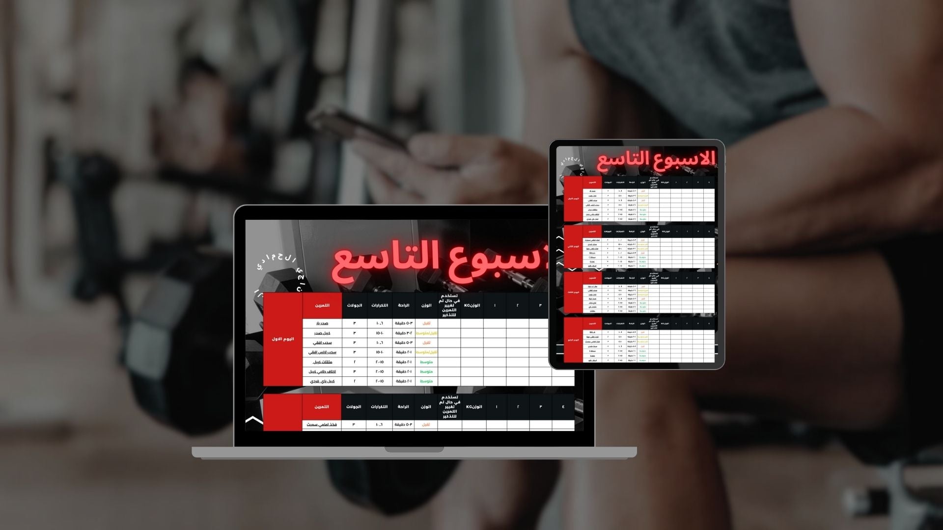 جدول يركز على عضلة الظهر